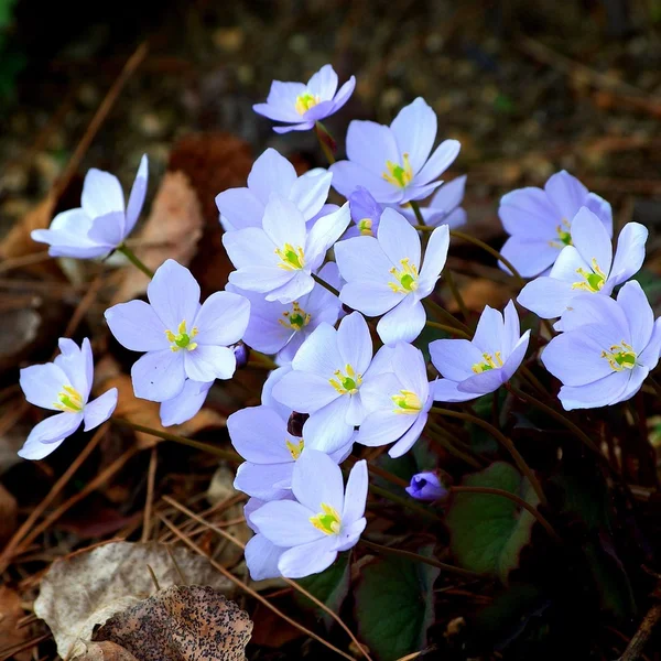 问鼎娱乐百家乐游戏